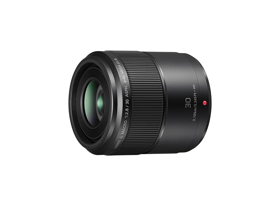 マクロ　LUMIX G MACRO 30mm F2.8 MEGA O.I.S 1本で飽きずに楽しめる標準マクロレンズ――パナソニック「LUMIX G